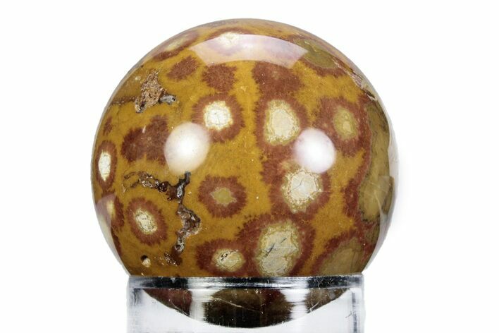 Polished Morgan Hill Poppy Jasper Sphere - California #360373